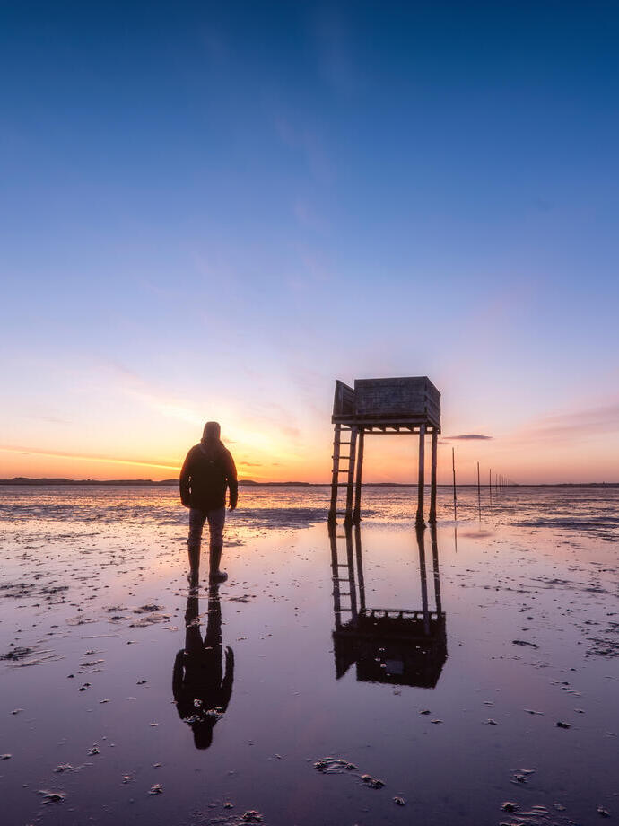 Posts marking the pilgrims' way crossing to Lindisfarne with emergency refuge at sunrise