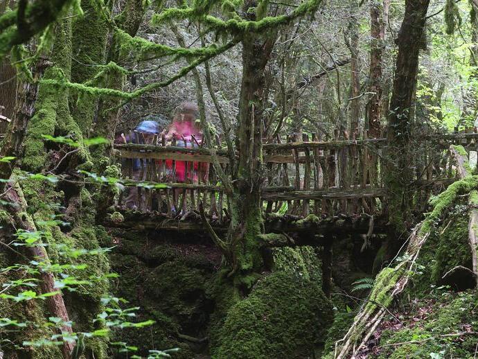 A low wooden bridge in the beautiful Puzzlewood woodland, Forest of Dean