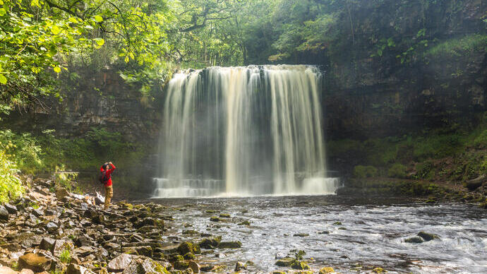 Man by a pretty creek looking at a magical waterfall catching the sun surrounded by trees