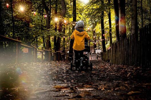 Le parc de loisirs BeWILDerwood