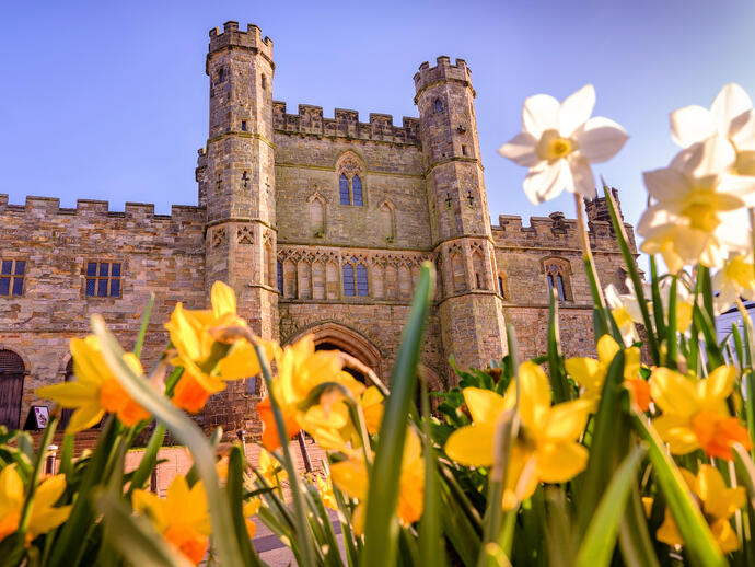 Historic stone abbey gatehouse with twin towers, viewed from below through vibrant yellow and white spring flowers.