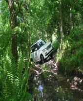A Land Rover being driven over an off-road track in the woods