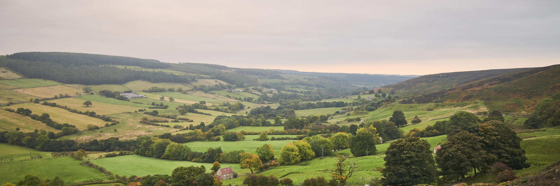 Vue sur une colline herbeuse et un paysage champêtre