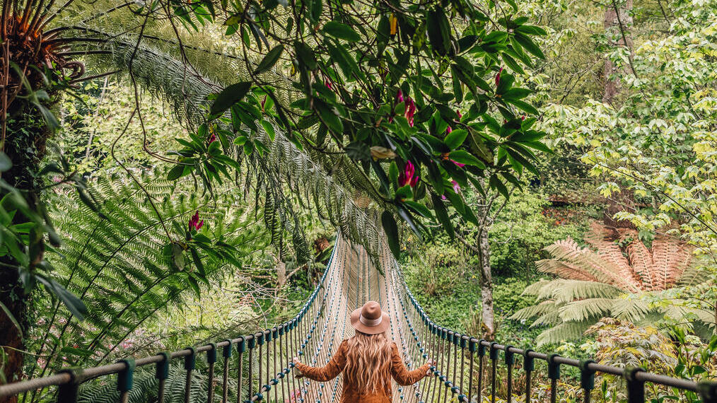 Mujer cruzando un puente colgante rodeado de árboles.