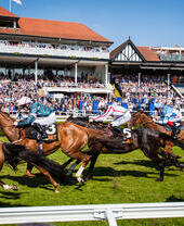خيول تتسابق أمام المدرج في مضمار تشيستر