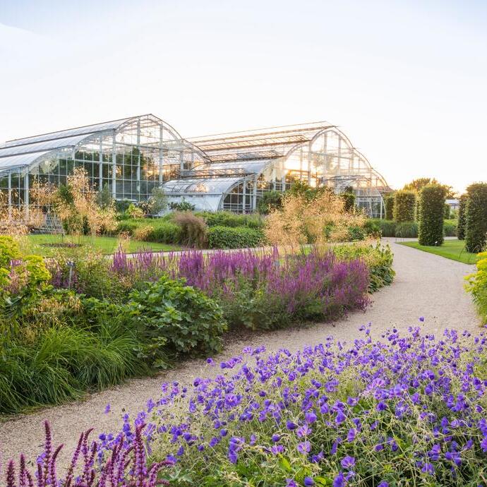 Garden with floral borders and a path leading to a glasshouse