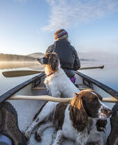 Woman in a rowing boat with two dogs on a lake