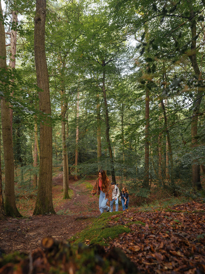 Tre amici che camminano lungo un sentiero nel bosco.