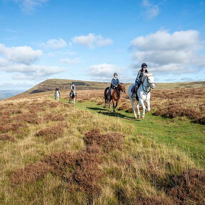 Menschen reiten auf Pferden über grasbewachsene Hügel unter blauem Himmel mit Wolken.
