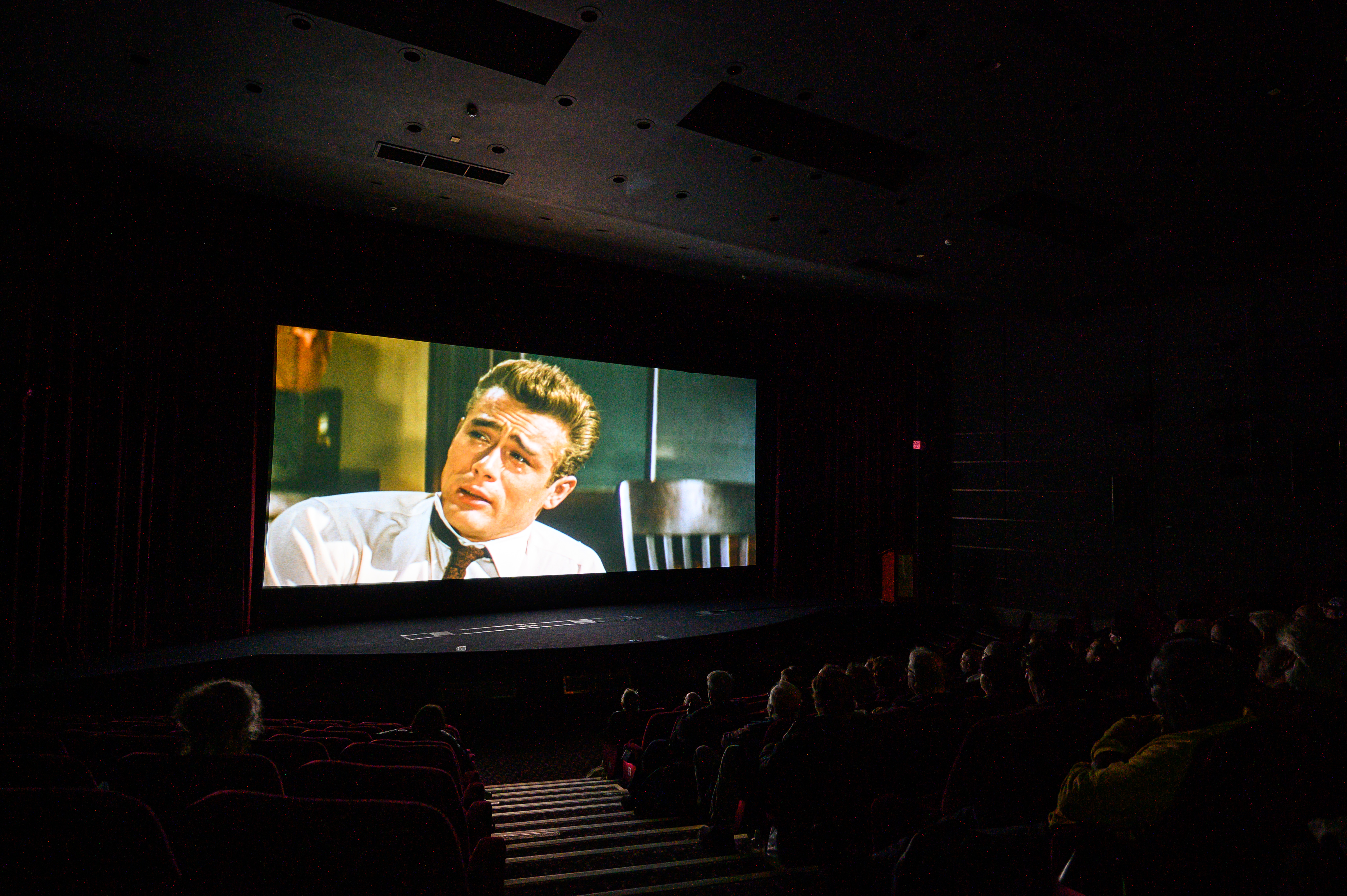 People watching a film in a cinema