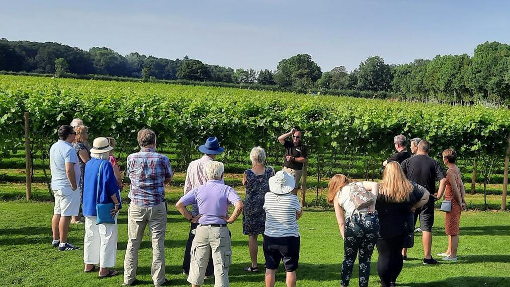 Un grupo de turistas en un viñedo de Yorkshire Heart Vineyard
