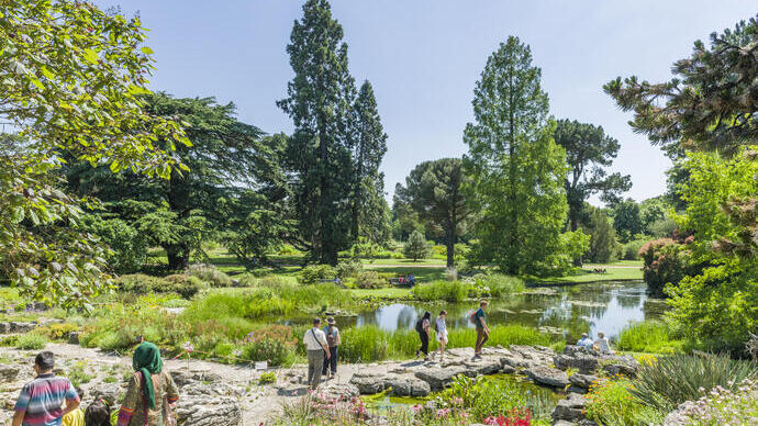 People walking and relaxing by a pond in a lush botanical garden, surrounded by colorful flowers and tall green trees on a sunny day.