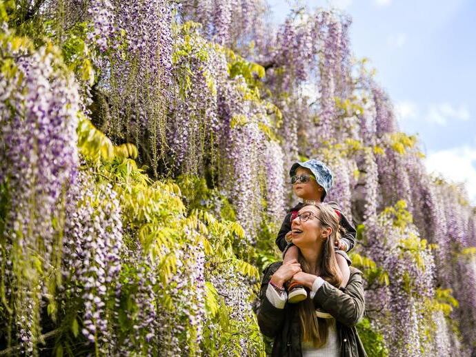 Woman and child looking at tree blossom