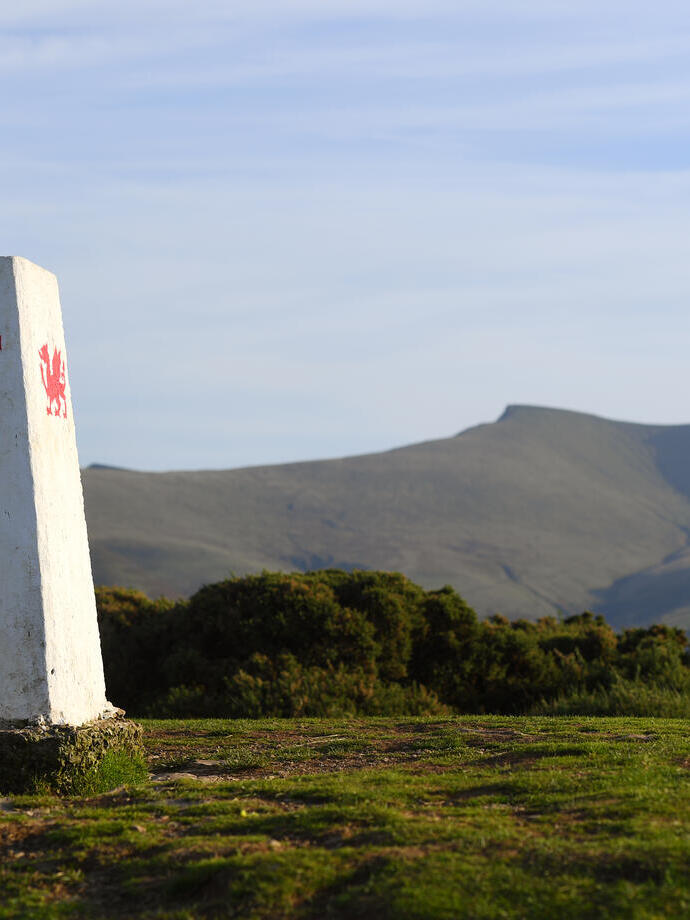 Drachen-Wegweiser inmitten eines großen Feldes.