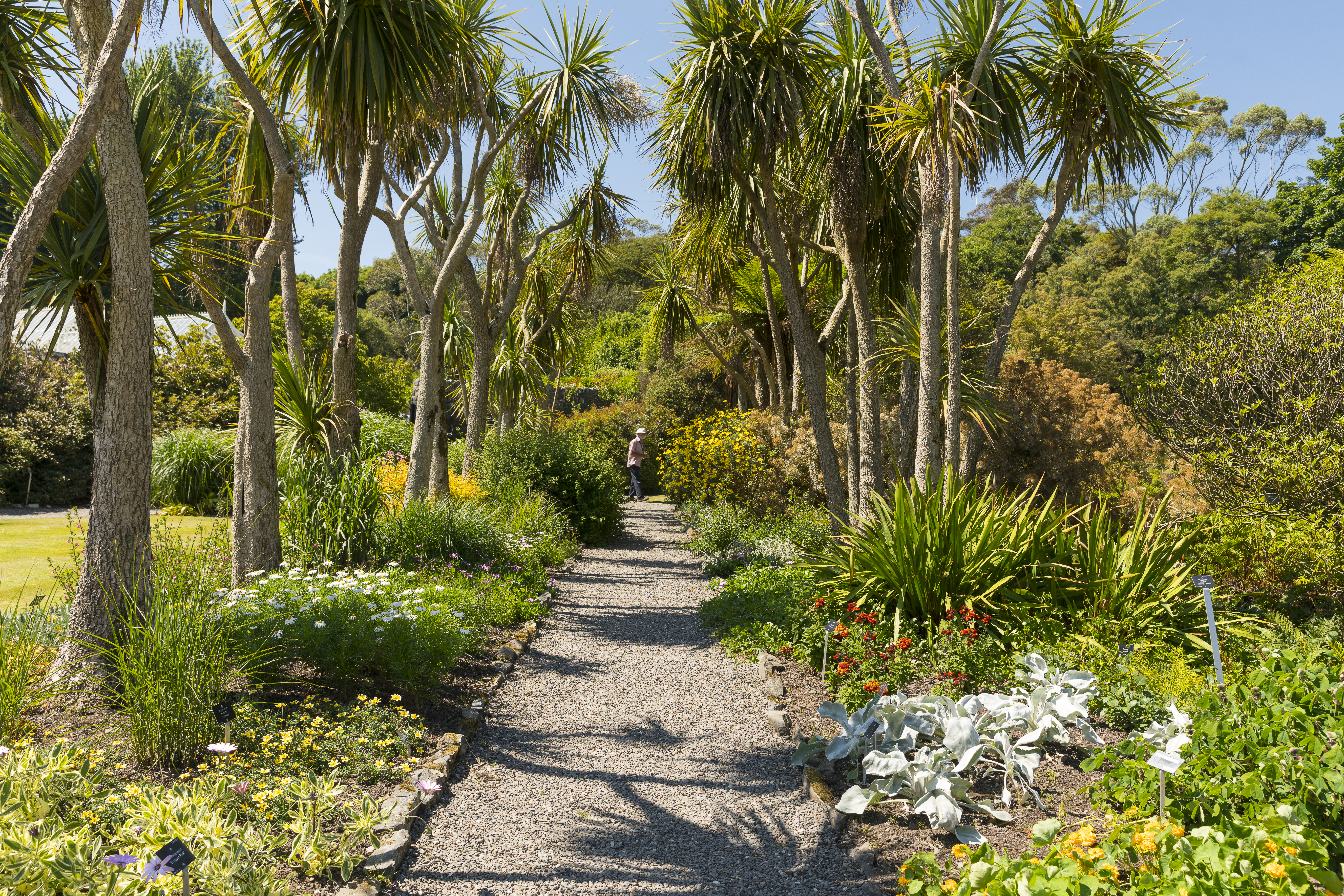 Un sentiero attraverso un giardino tropicale.