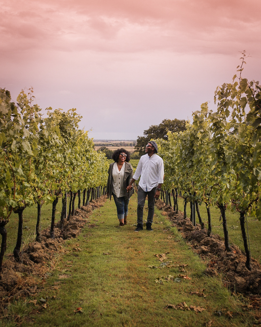 Man and woman walking between rows of vines at a vineyard