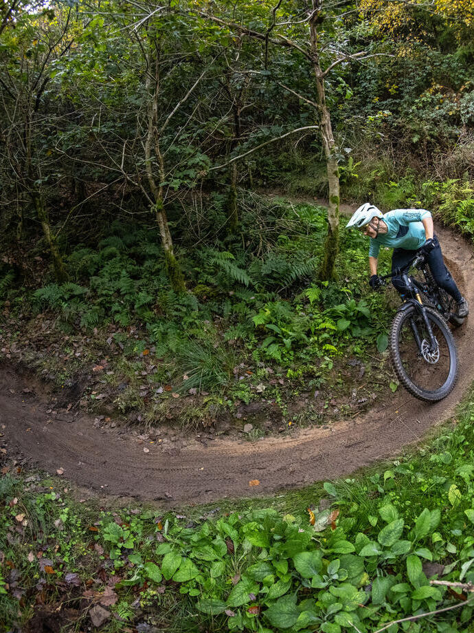 Un cycliste roule à travers les arbres le long d'une piste cyclable spécialement aménagée dans une grande forêt.