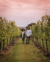 Man and woman walking between rows of vines at a vineyard