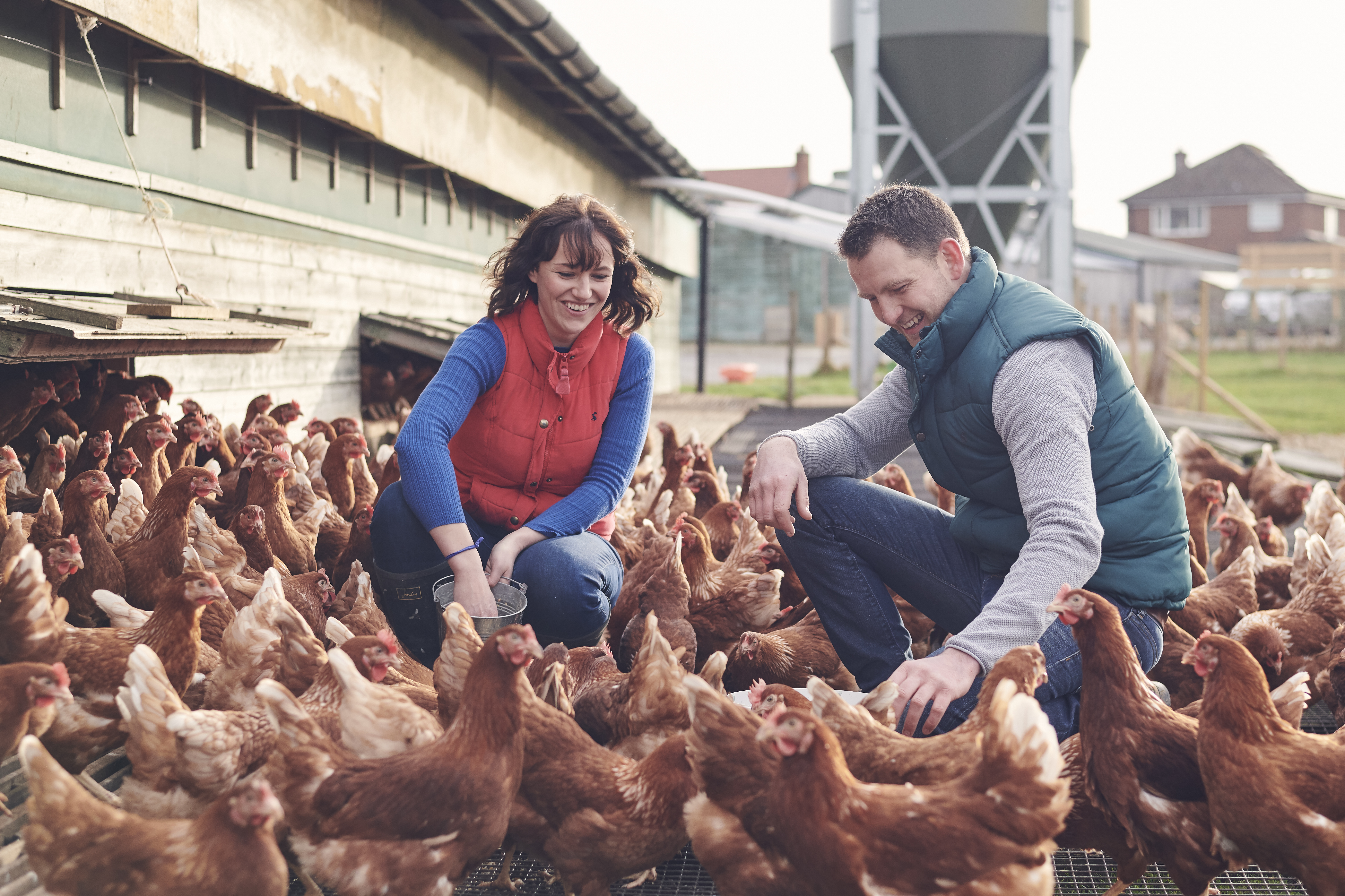 Man and woman feeding hens on a farm