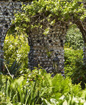 Tall plants in the gardens of Dorney Court, Windsor