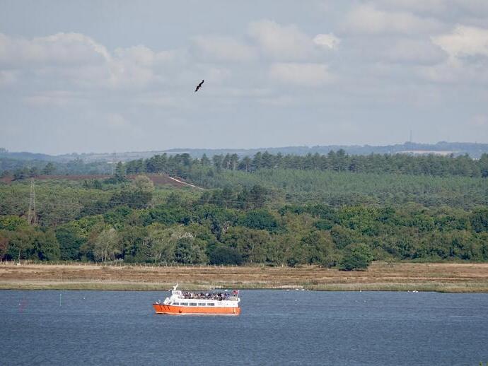 A small orange and white passenger boat sails in a sea with forested hills and a bird flying overhead.