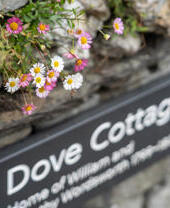 Close up of flowers over sign reading Dove Cottage