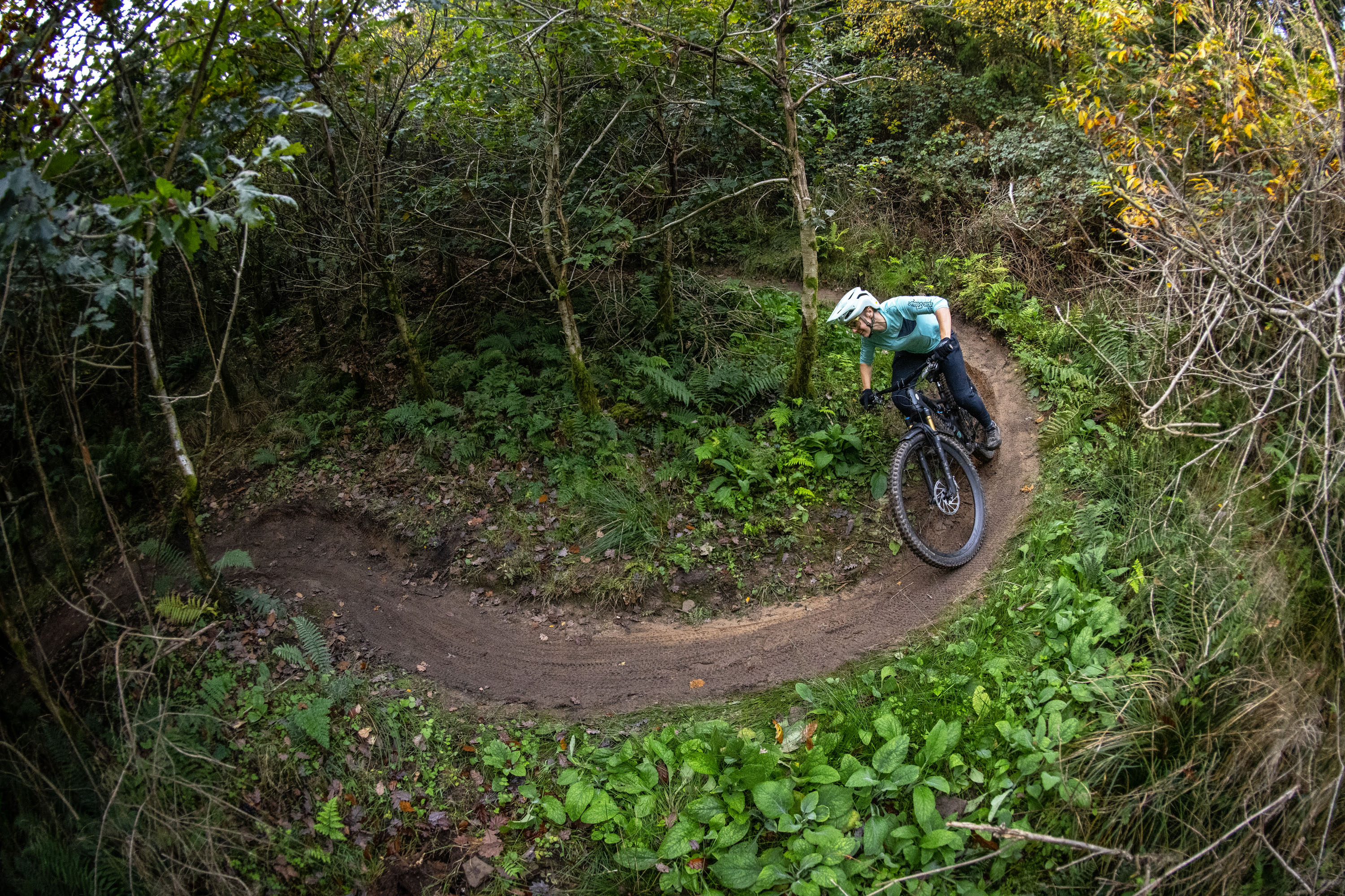 A cyclist riding through trees along a purpose built adventure cycle path in a large forest.