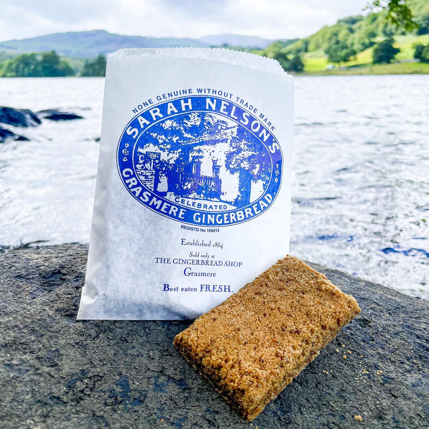Closeup of Grasmere Gingerbread on a rock by a lakeside