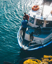 Skomer Island, Pembrokeshire, Wales, Großbritannien