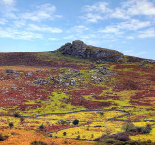 A rocky outcrop on a hill in a national park