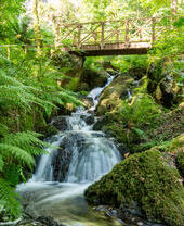 A stream flowing under a wooden footbridge at Canonteign Falls in Devon