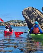 Paddle Cornwall, kayak de mer dans les îles Scilly