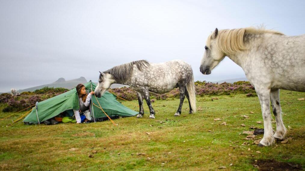 Wildcampen im Dartmoor-Nationalpark, Devon, Großbritannien