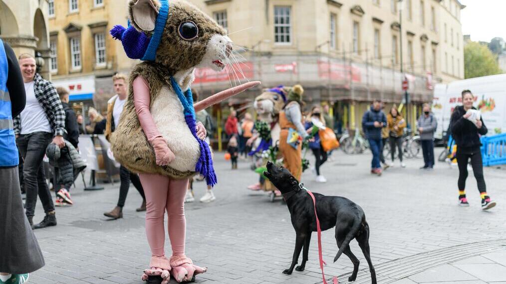Un chien et un artiste déguisé en souris dans le cadre du Bath Fringe Festival