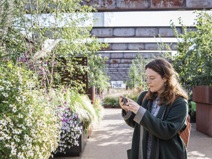 A woman taking a picture of plants and flowers in the gardens of Castlefield Viaduct, Manchester