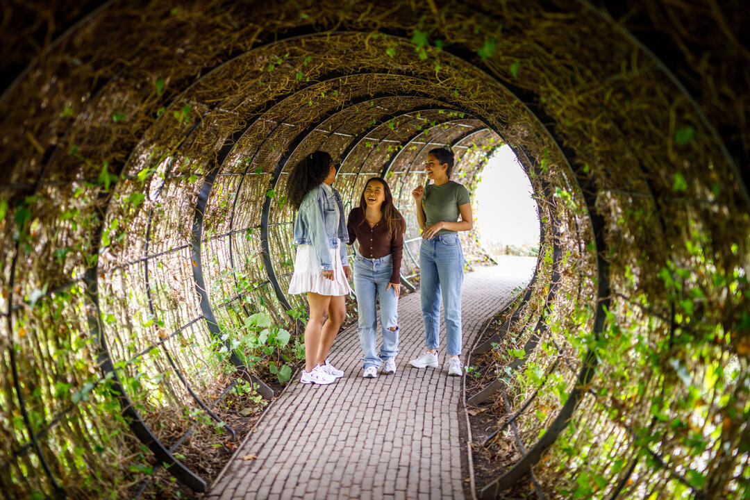 Three women inside a plant tunnel in a garden