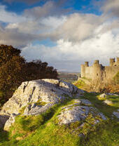 A castle standing on a grassy hilltop with surrounding blue skies and clouds.