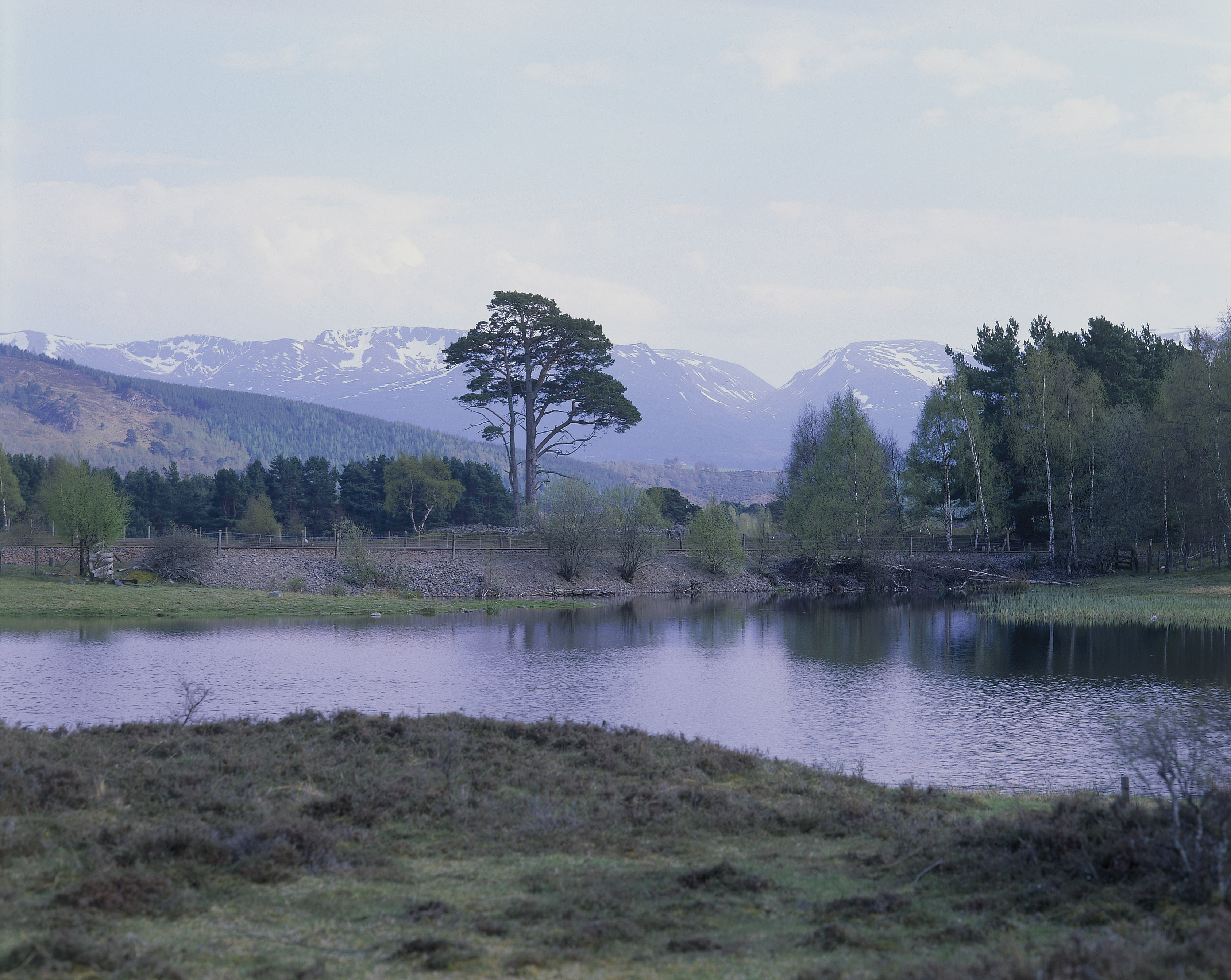 Les Cairngorms enneigés