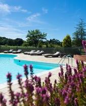 Swimmingpool, umgeben von einem Garten an einem sonnigen Tag