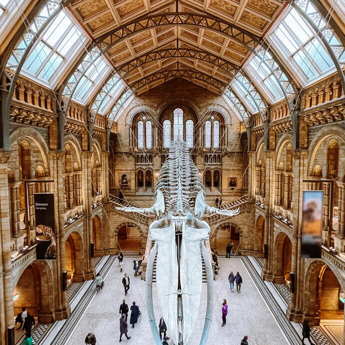 Vue depuis le balcon d'un musée sur un squelette de dinosaure flottant suspendu au plafond.