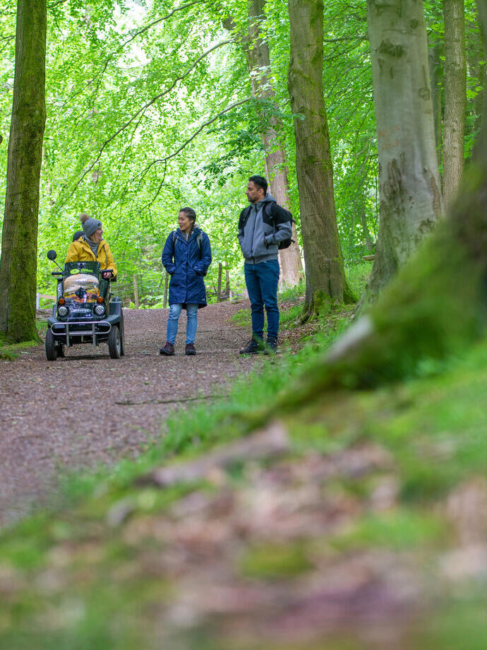 A man and two women enjoy the outdoors in woodland