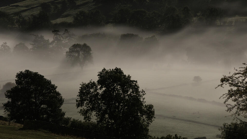 Early morning mist lingers over a rural landscape with fields and scattered trees, creating a tranquil, atmospheric scene.