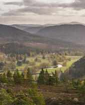 A view across the hills and woodlands of the Cairngorms National Park.