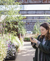 A woman taking a picture of plants and flowers in the gardens of Castlefield Viaduct, Manchester
