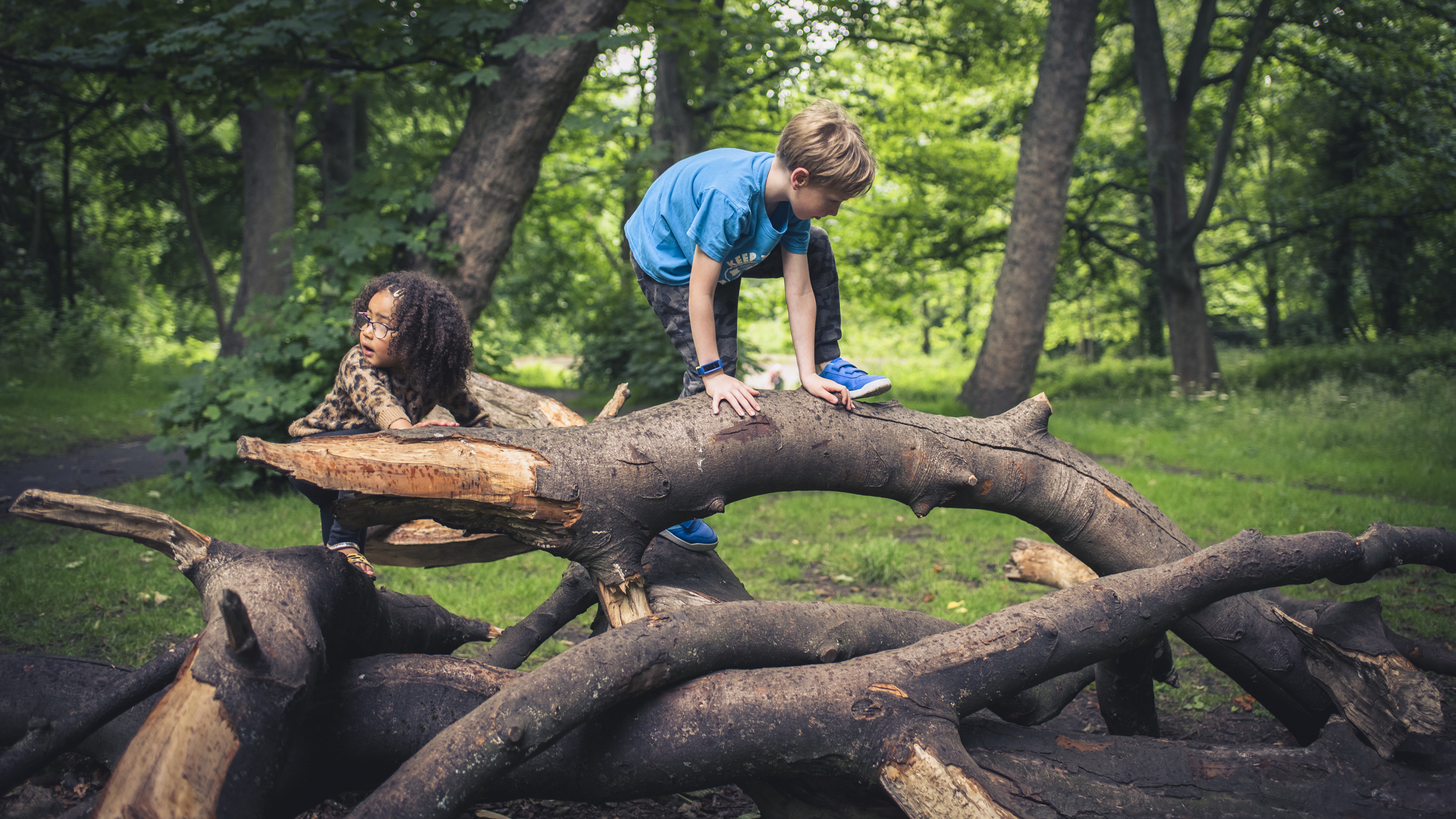 Des enfants escaladant une branche tombée dans Heaton Park, Newcastle
