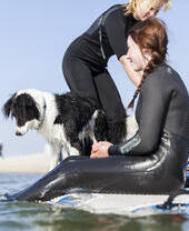 Two women in wetsuits and a dog in the water with windsurf boards