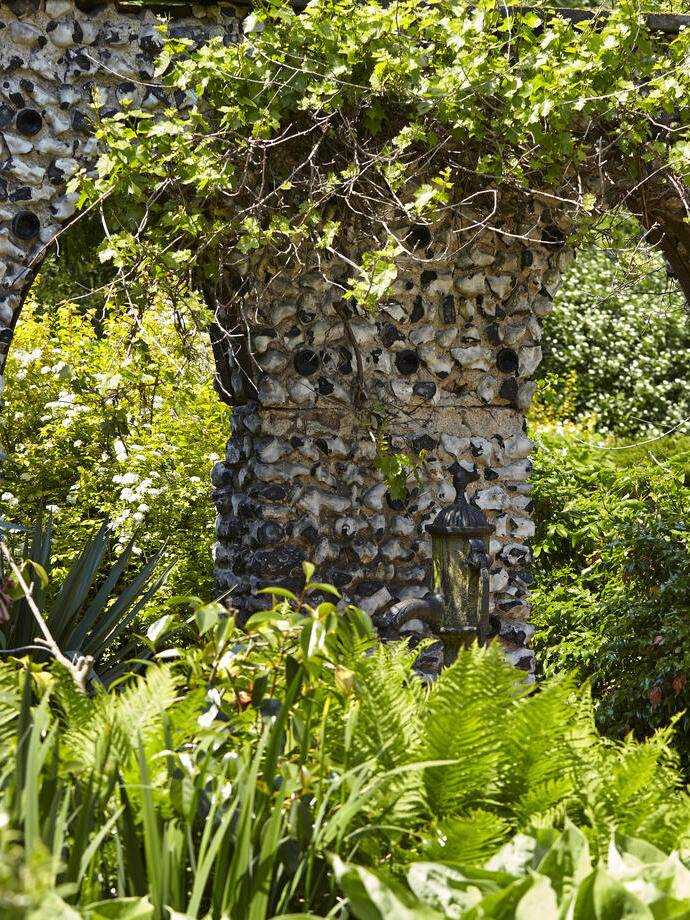 Plantas altas en los jardines de Dorney Court, Windsor