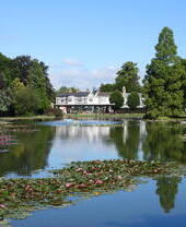 Large pond with water lilies, surrounded by lush trees, and a white building in the background under a clear blue sky.