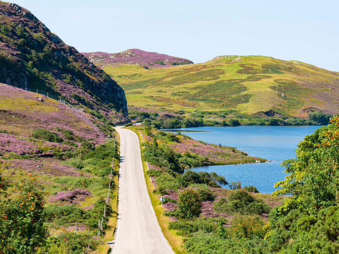 Eine Küstenstraße, die durch mit violettem Heidekraut bewachsene Hügel führt, rechts davon das blaue Meer