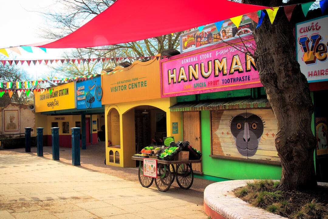 Row of shops and visitor centre at a zoo